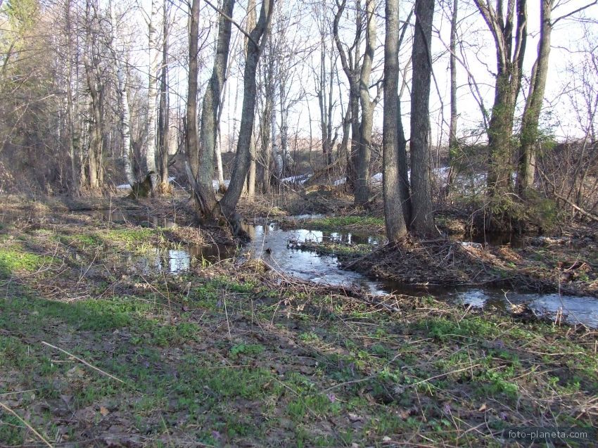 д. Суслово. р. Аракашка. Апрель.