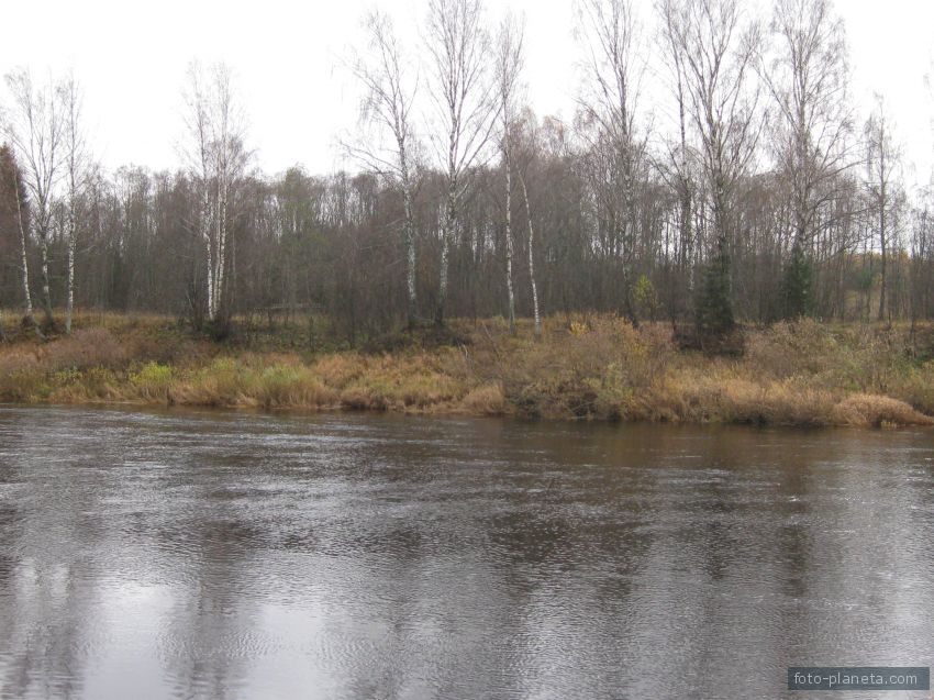 река медведица в деревне нивищи