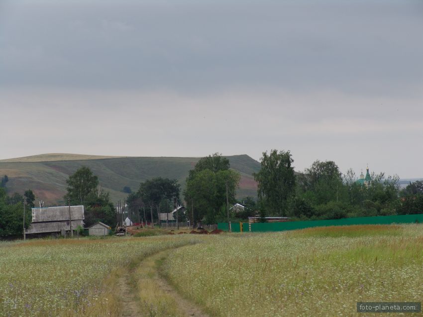 Дорога с юга в село Колесниково 2012 год