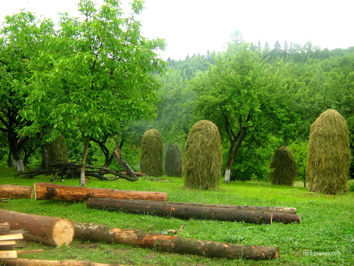 Пістинь. Після дощу.