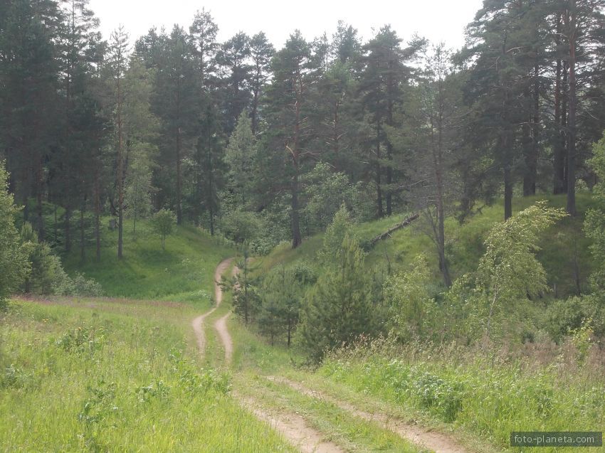 Карпина гора новгородская область