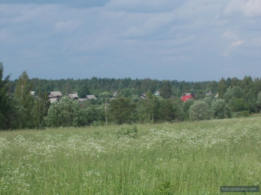 Новгородские вольные.