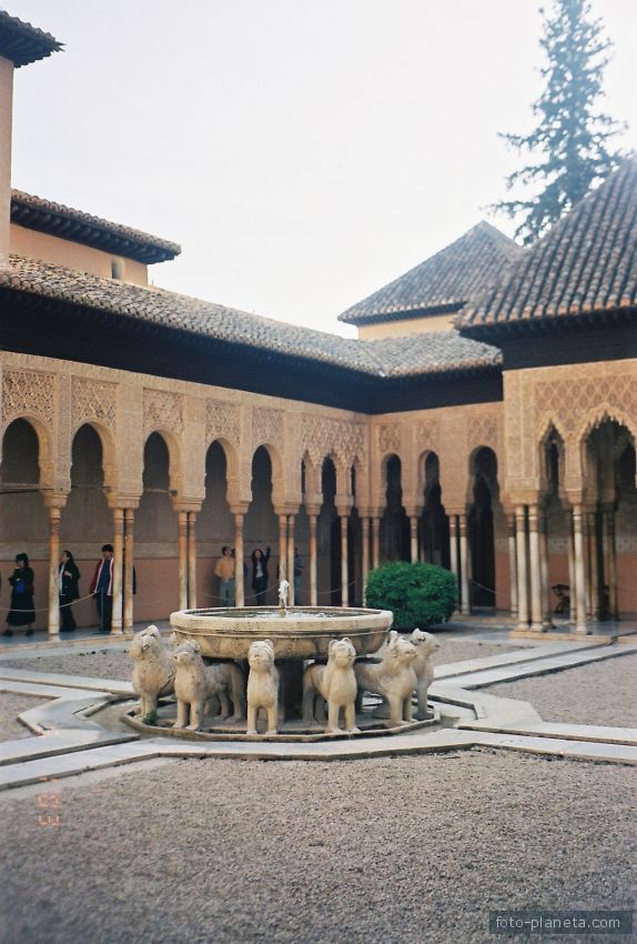 Гранада. Альгамбра, львиный дворик.