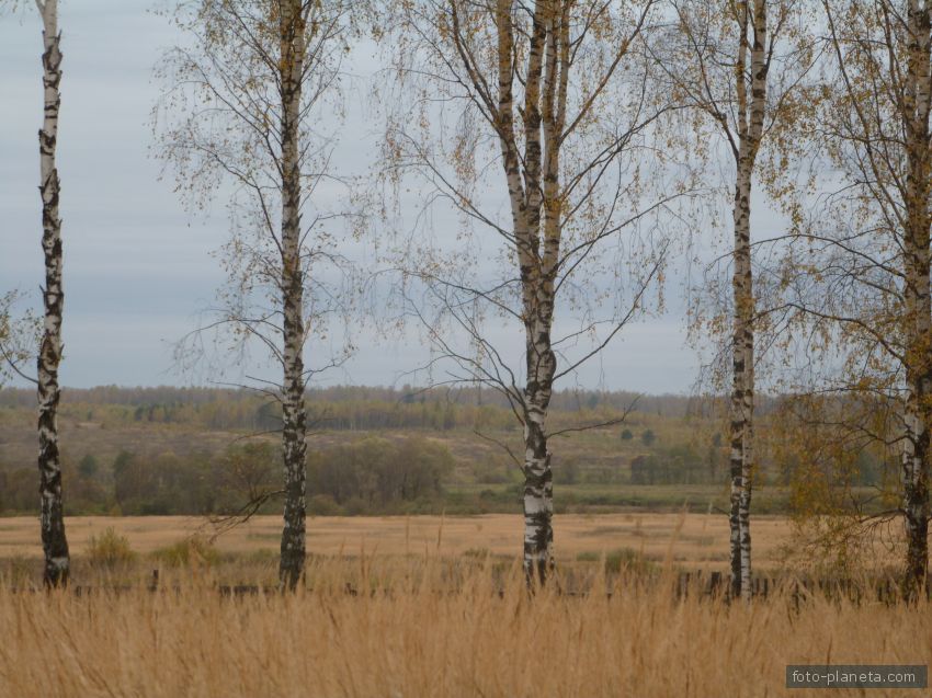 осень в Шемелинках