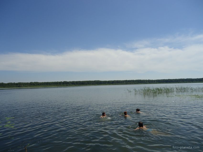 Озеро среднее озерное