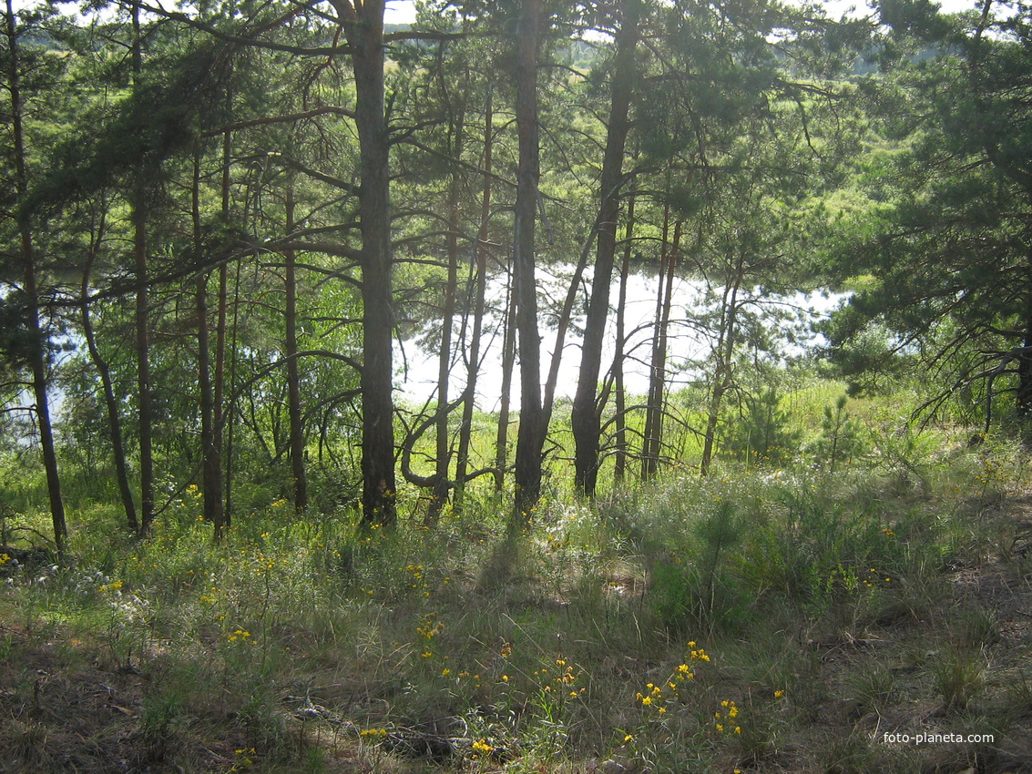 Вид с дороги Абакумы-Вербуж