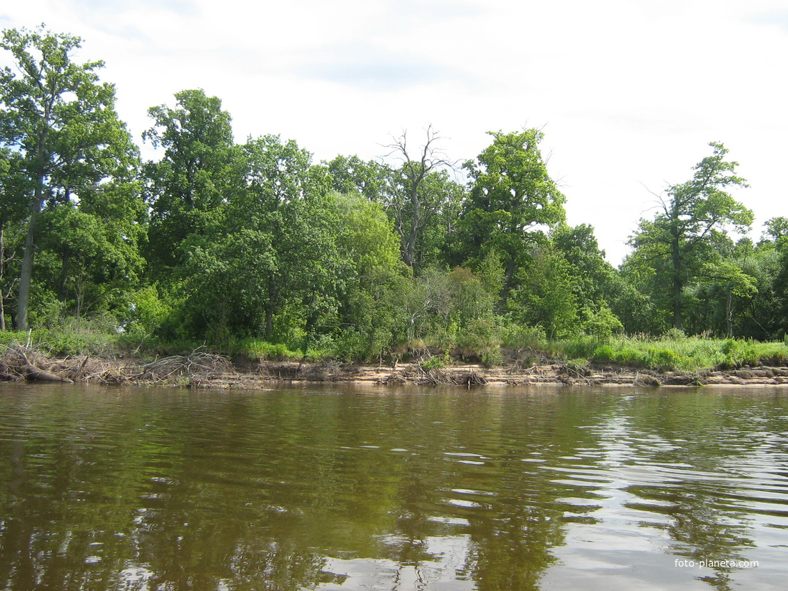 Берега Днепра