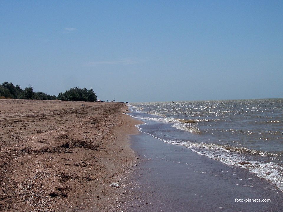 Камышеватская