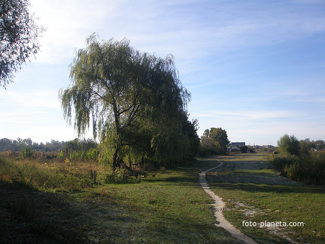 Парипси