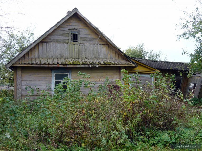старые дома в деревне