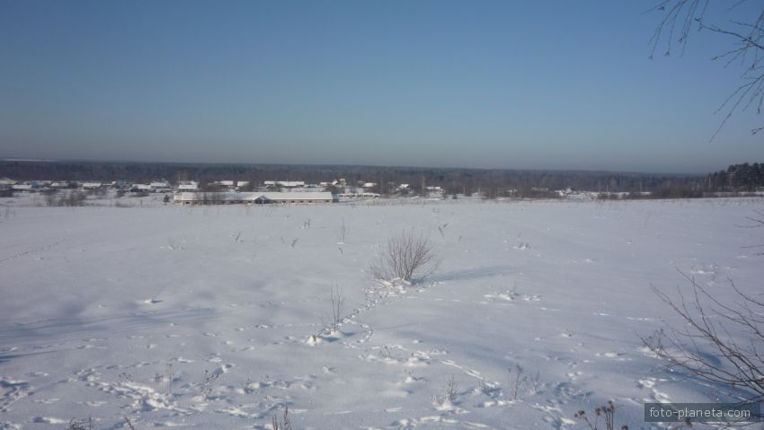 Михайловица