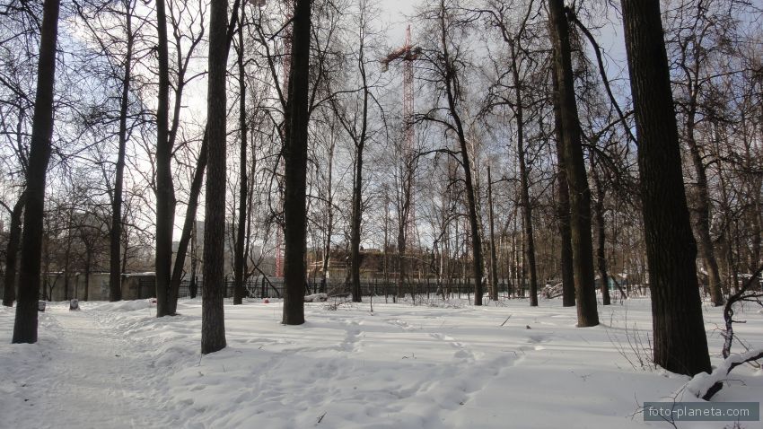 Парк у дальнего пруда