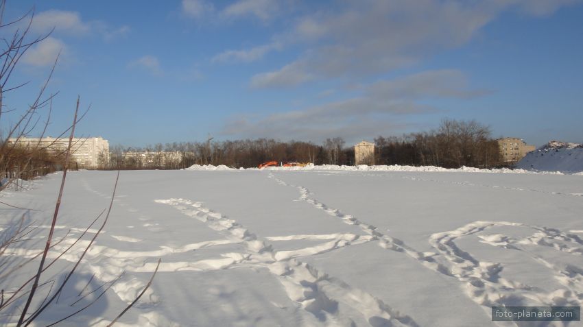 Территория института садоводства