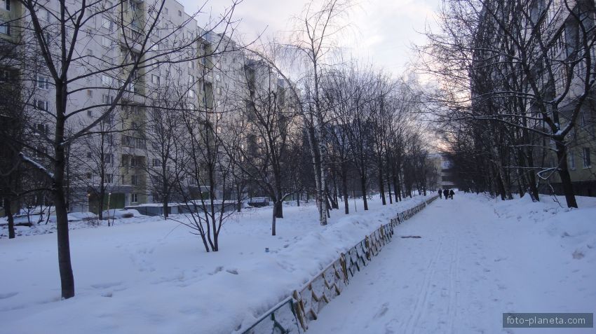 Бирюлевская 55