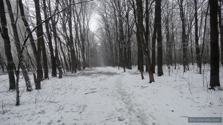 Аллея вдоль ЖД по Загорьевскому проезду