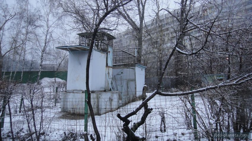 Что не запечатлено на первой в мире фотографии колодец башня голубятни грушевое дерево крыша амбара