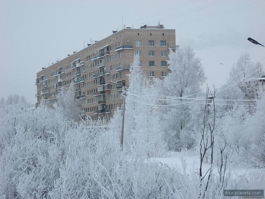 Погода в понтонном колпинский. Понтонный Колпинский район. Посёлок Понтонный Колпинского. Пос Понтонный Ленинградская область. Понтонный район СПБ.