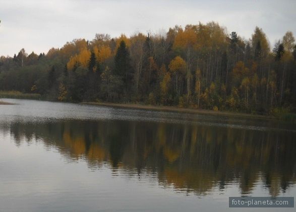 Осень на озере в Медведках