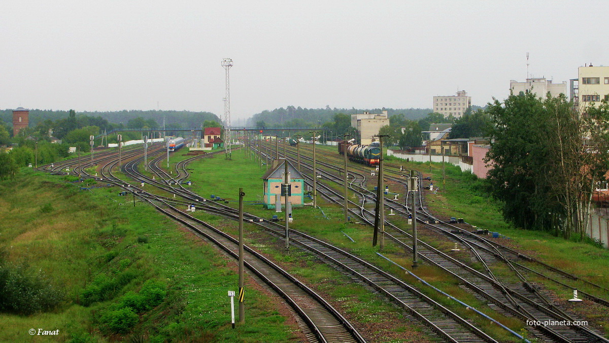 Станция Новобелицкая