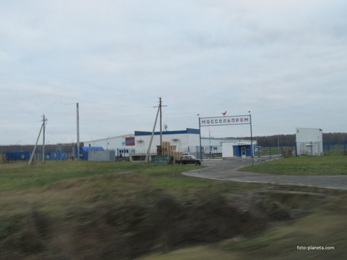 Птицефабрика