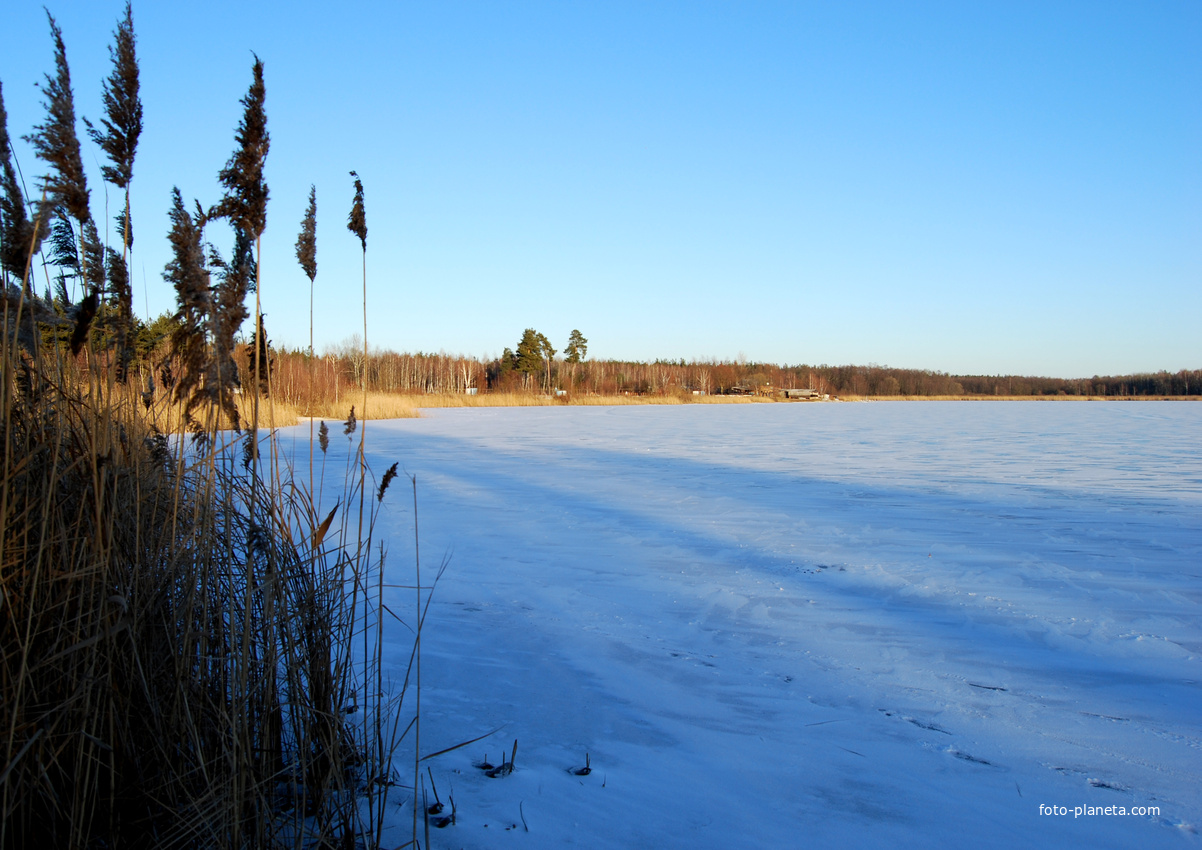 Лебединское озеро зимой
