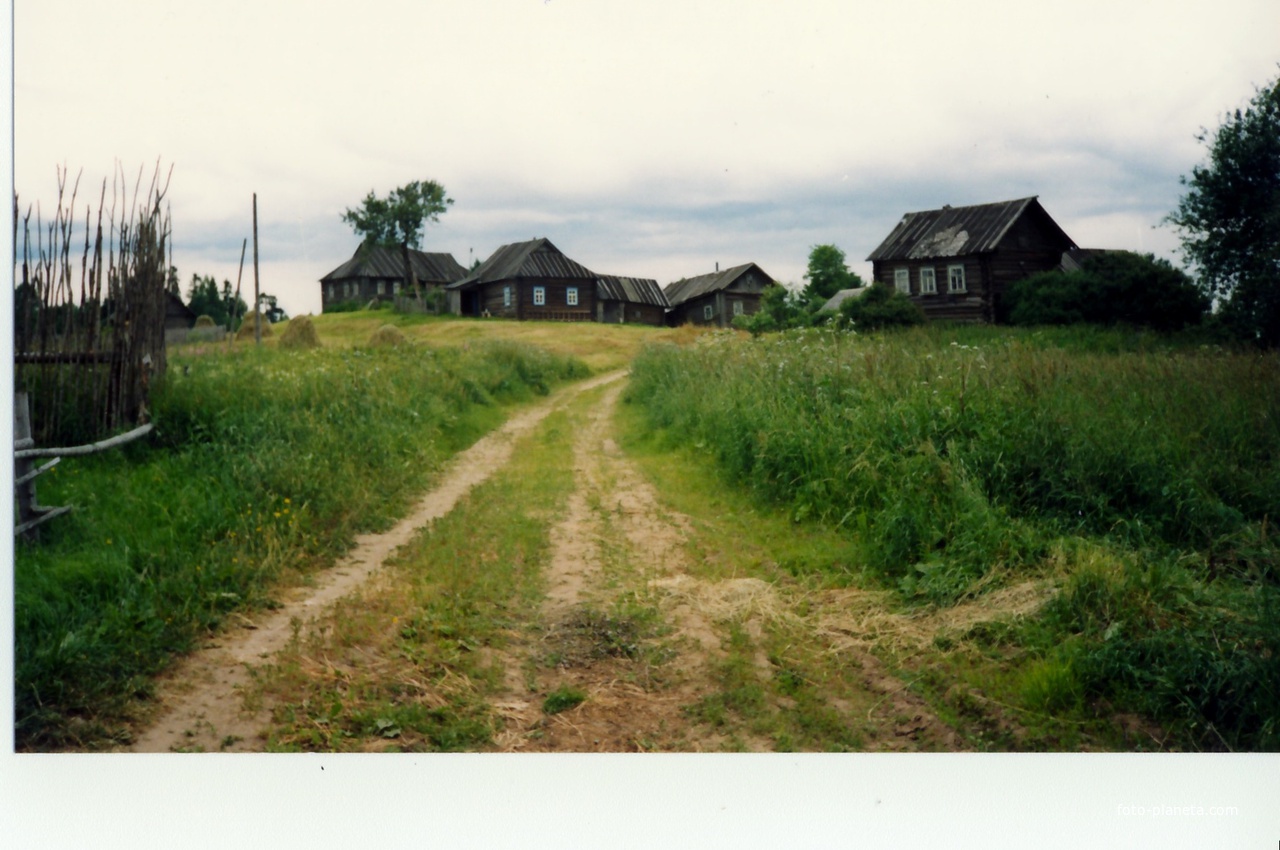 деревня Назарьино (1995  год)