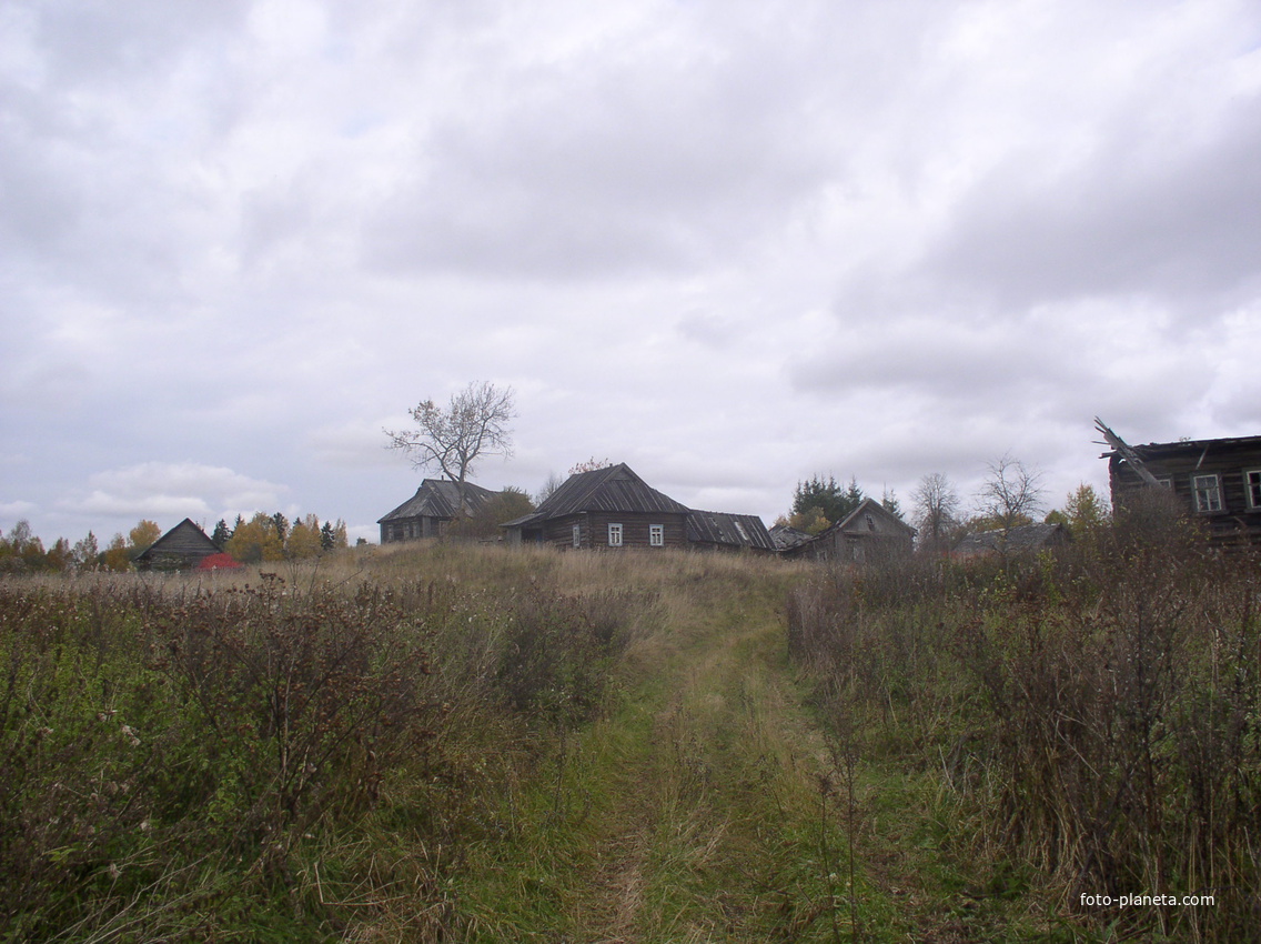 деревня Назарьино (2008  год)