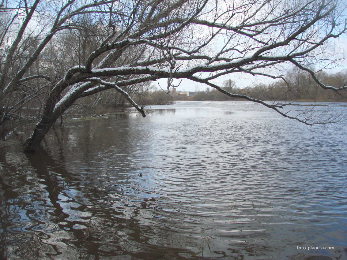 Холодный разлив 2012 года, река Теза.