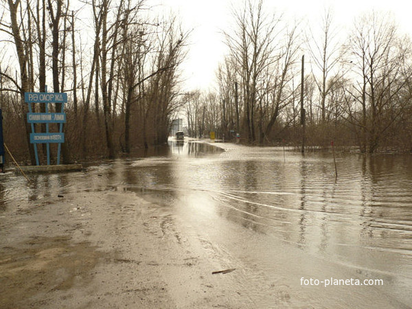 наводнение в Н-Ломове