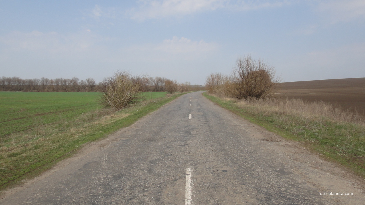 Дорога на Штеповку