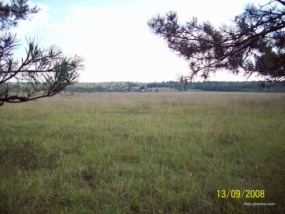 Шугино вид из бора