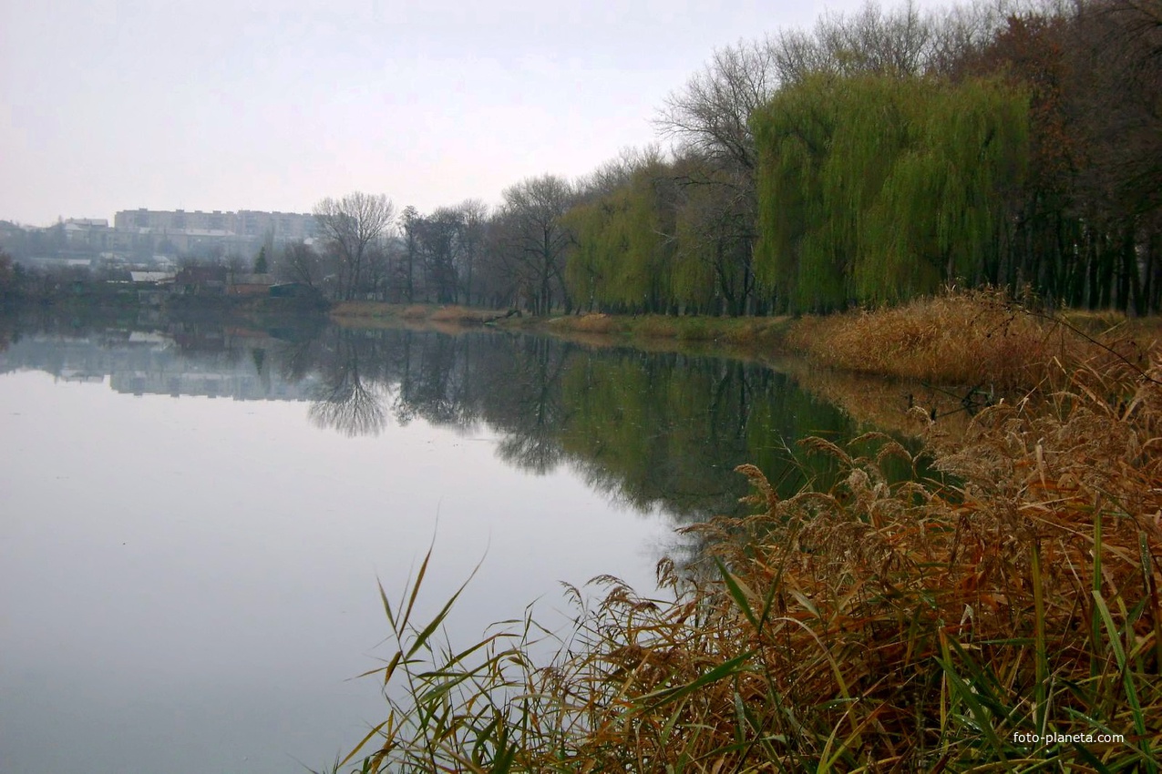 Молодой парк.