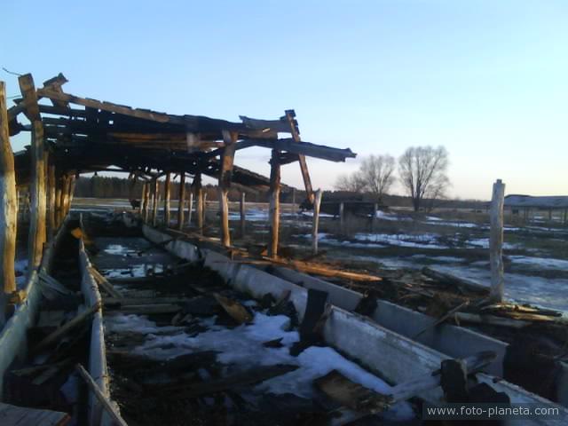 Разрушенная летняя ферма для коров