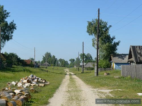 д. Полянки Темников