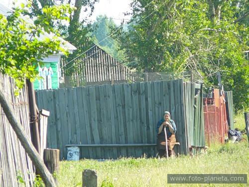 Д.ПОЛЯНКИ ТЕМНИКОВ