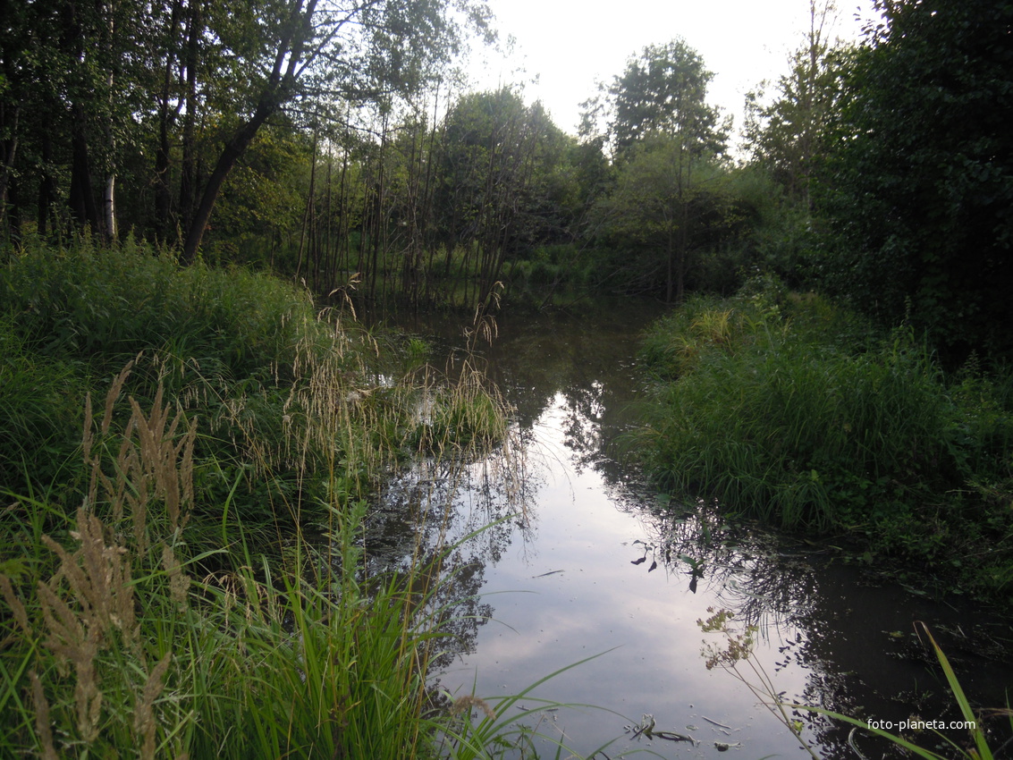 Кабан-Бастрыковский лес