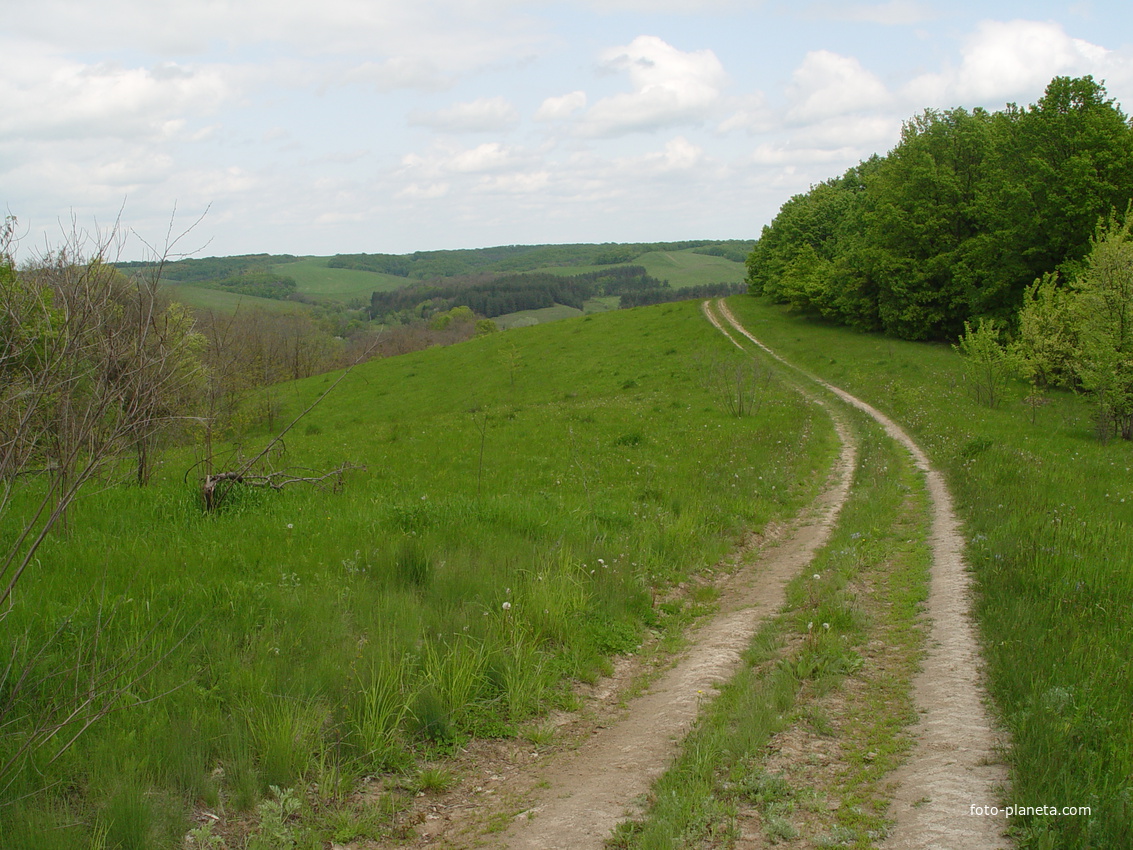 дорога к ул. Мурейки 1.