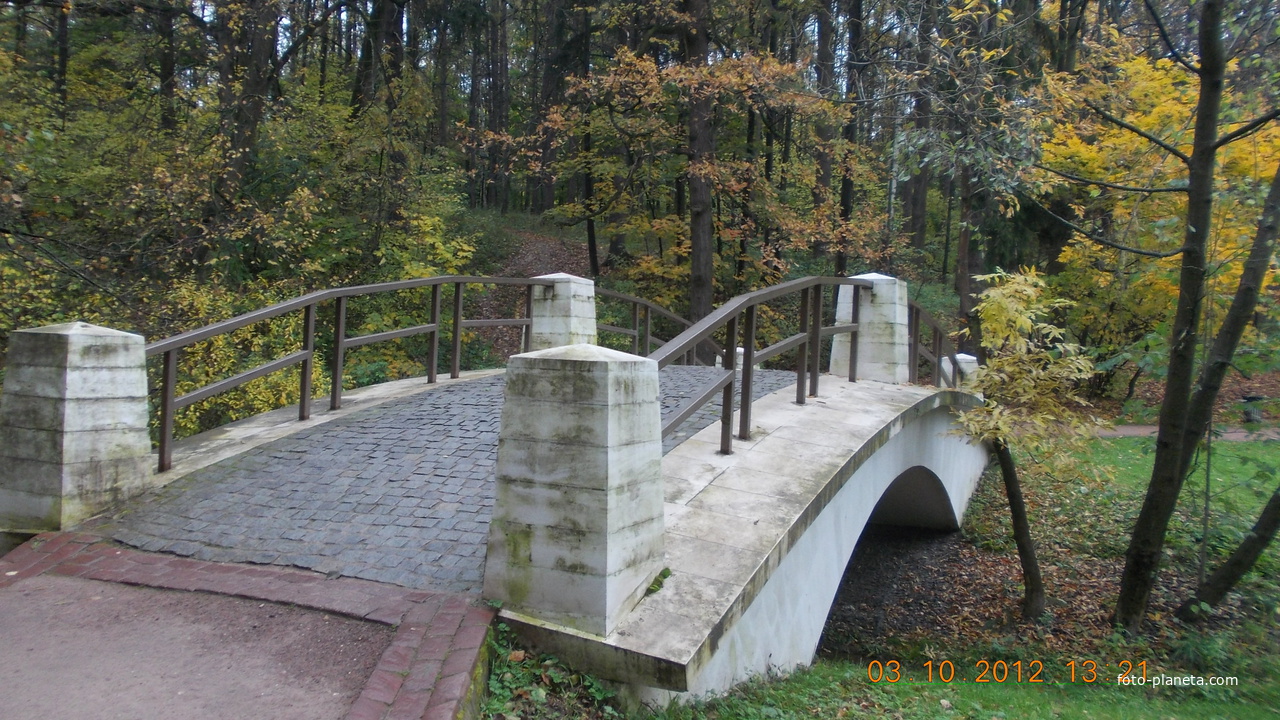 мостик в лесу