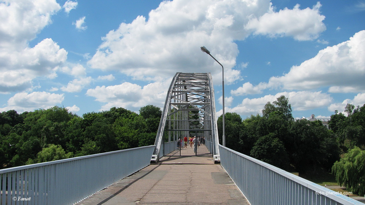Пешеходный мост через р. Сож