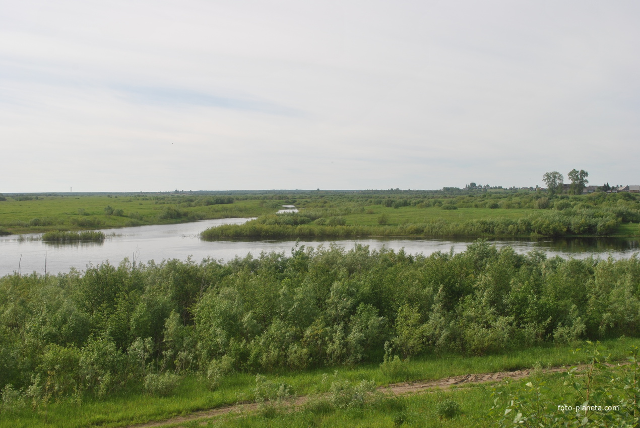Поселок река Емца Архангельская область