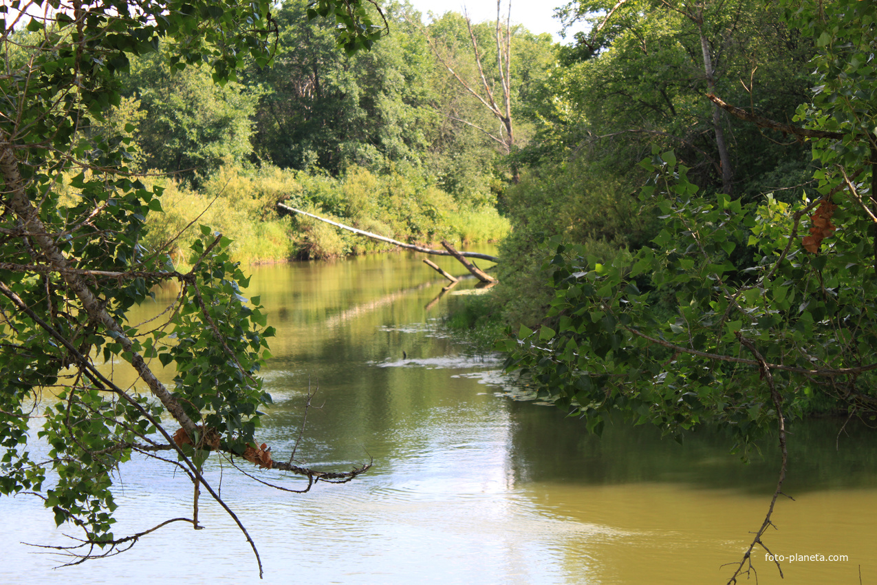 На реке Быстрый Танып