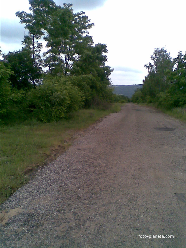 Дорога в село в начале леса.