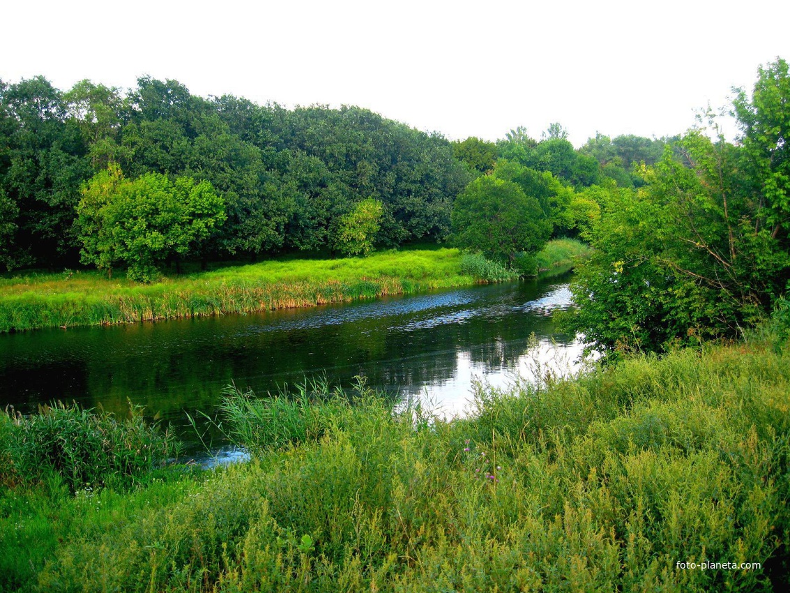 пос.Донской.Река Казенный Торец.