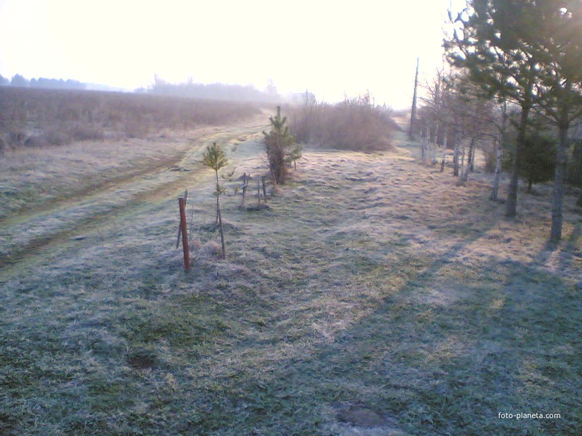 Окраина дер.Курдюковка - ноябрь, утро, туман, морозец.