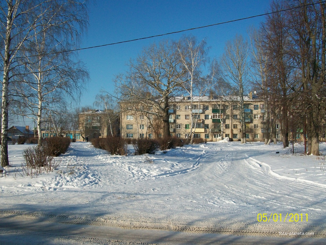 Камыши зимой