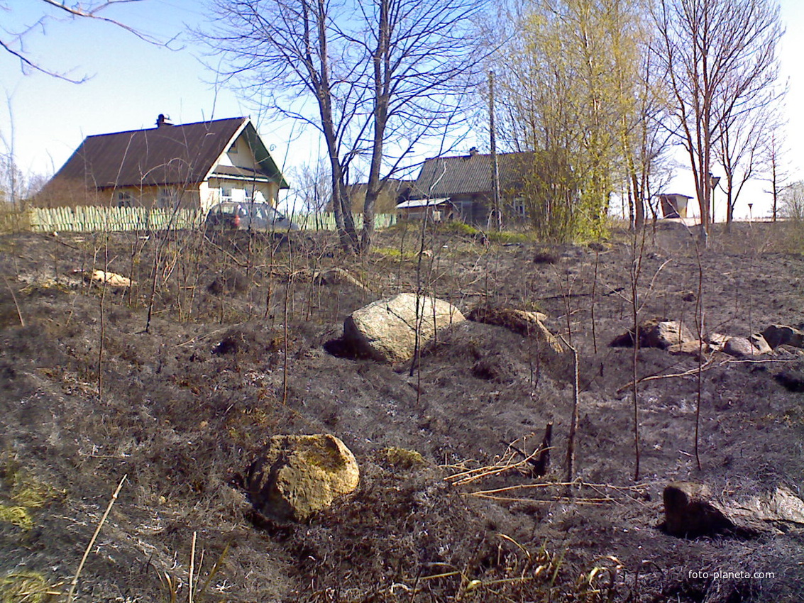 Корокса после ландшафтного пожара