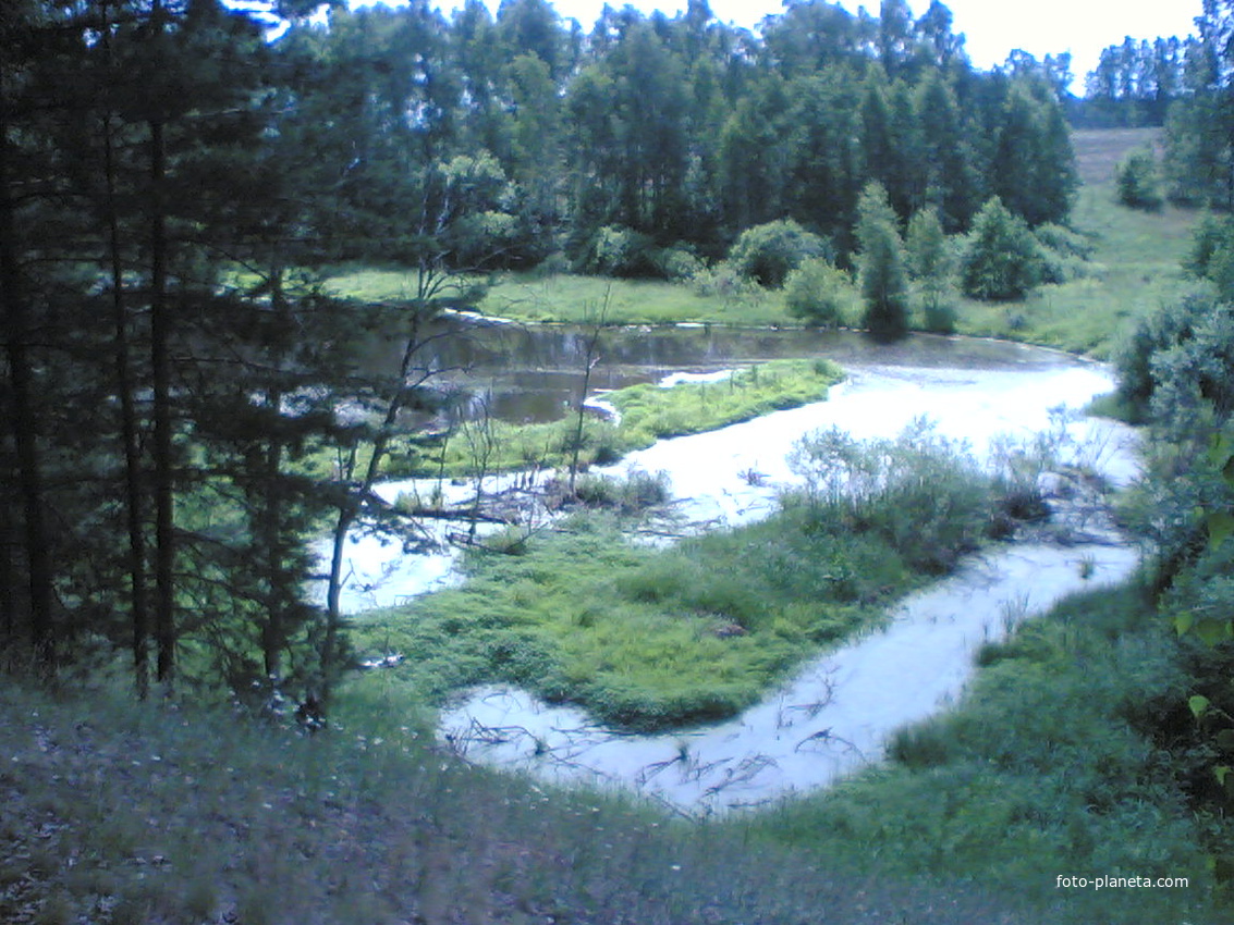 Лесной пруд.