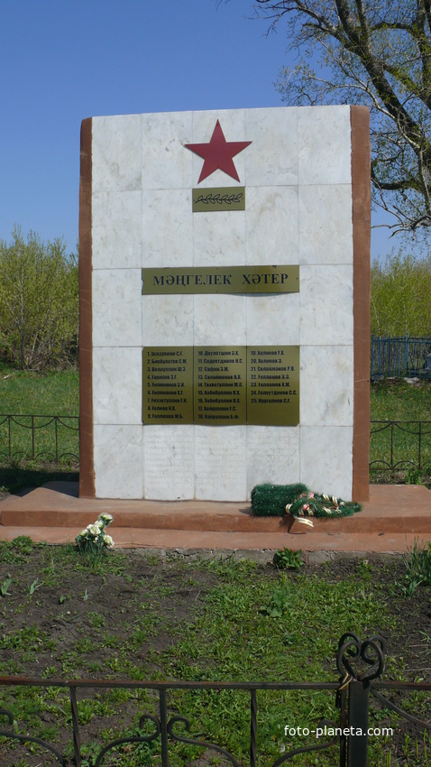 Памятник погибшим село Карашиды Черкассы