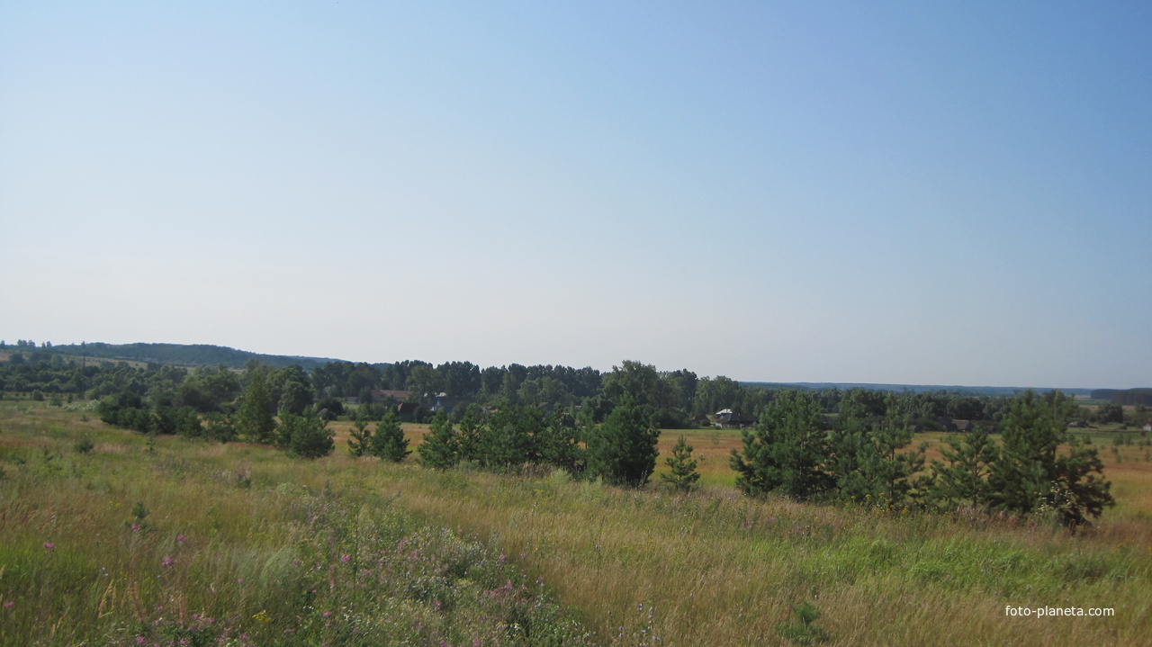 Вид от бора