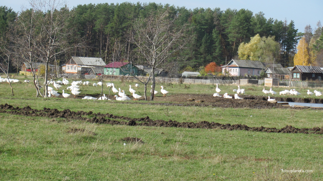 Парковая улица